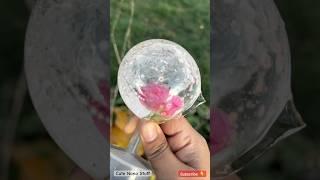 Pink Rose in a Nano Water Ball | DIY Nano Crafts