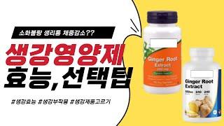 생강 영양제 효능 :: 고르는 법 :: 부작용