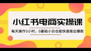 小红书·电商实操课：每天操作3小时，0基础小白也能快速做出爆款！