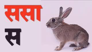 स पासून सुरु होणारे शब्द | मराठी मुळाक्षरे | s pasun suru honare shabd