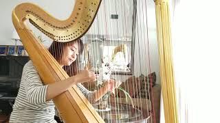 OMG: SoCal Classical Harpist "Sonata In C Minor" Cover