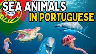 STOP Using the WRONG Sea Animal Names in Portuguese! 