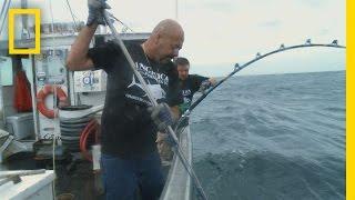 The Last Battle | Wicked Tuna: Catch of the Week