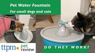 Water Fountains for Cats and Small Dogs from PetSafe | Do They Work? | (We Tested Them All)