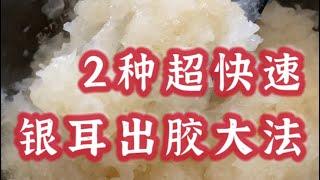 女性秋冬必補｜懶人抗炎養顏健康食譜｜可冷凍甜品便當｜潤肺補氣｜銀耳快速出膠技巧