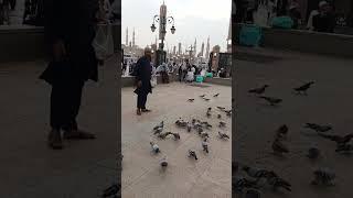 best video of my life #trending #love #madina #fyp #instagram #islamic #eidmubarak