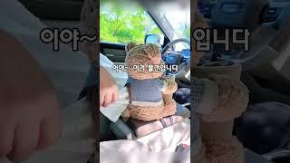 차안에 인형을 두면 생기는 일