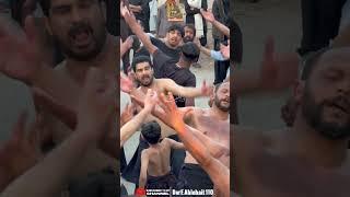 Syed John Shah Kazmi #johnshah #shorts #shortvideo #shortsvideo #reels #matam #2025 #ytshorts #fyp