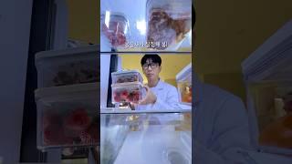 봄집사가 실험해 봄!‍