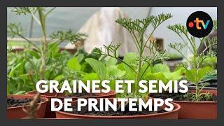 Tours, cité de la gastronomie - Épisode 1 : Graines et semis de printemps à la Villa Rabelais