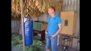 Ферментация табака 1 часть.( tobacco fermentation)