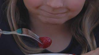 Tips for changing you child's eating habits