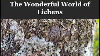 The Wonderful World of Lichens - Vanessa Ryan