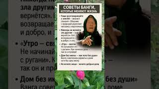 СОВЕТЫ ВАНГИ, КОТОРЫЕ МЕНЯЮТ ЖИЗНЬ