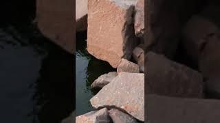 Братская ГЭС