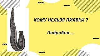 Когда нельзя ставить пиявки - гирудотерапия противопоказания