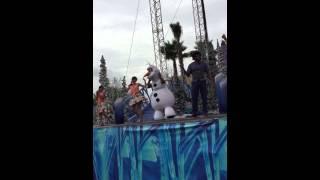 Olaf Summer Fun 2