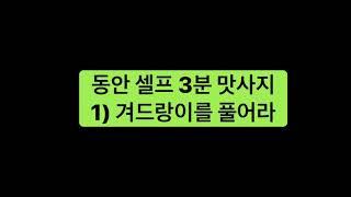 동안 셀프 수기법  아마란스 프로그램