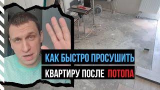 Как быстро просушить, высушить квартиру, дом, пол, стены после затопления (потопа) или от сырости?