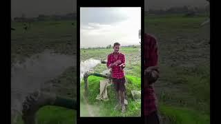@Gaurav singh r9d