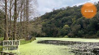 福山植物園｜以自然山林為版圖的植物園｜豐富生態｜來一趟舒展身心的森呼吸吧！