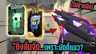 ยิงลั่นจัด เพราะบัพบัดดี้แมว โคตรเท่!