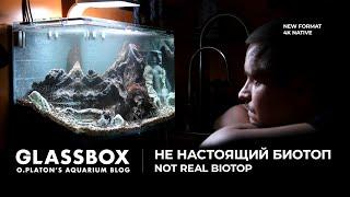 НЕ настоящий биотоп. Not real biotop. Glassbox