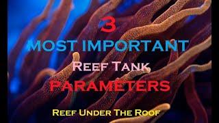 3 MOST IMPORTANT Reef Tank Parameters