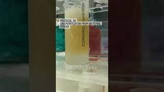 DNA purification  #trending #medical #lab #viral  #shorts #youtube