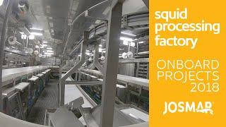 Squid processing factory onboard