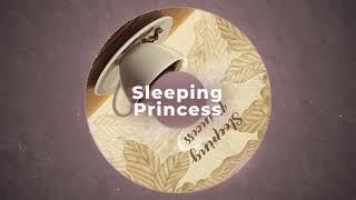 Sleeping Princess - Intro