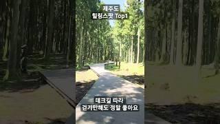 제주도 가면 꼭 가는 힐링여행지 Top1 #shorts  제주도절물자연휴양림 풍경