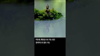 KBB한국불교방송 불교명언 "진리대로 살아가는 사람"