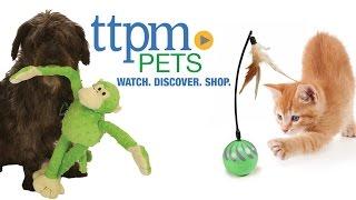 TTPM Pet Toys & Gear Reviews Intro