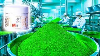 The Inspiring Journey of How Matcha is Made in Factory | Mind-Blowing Matcha Factory Journey