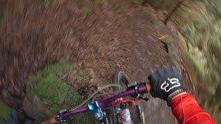 paar mal fast hin gemault - laps im Feuchten knallen | MTB Heidelberg Königstuhl #mtb #germany #2025