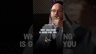 Why walking is good for you   #shaykhhamzayusuf #deen #sunnah