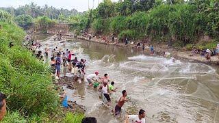 JALA IKAN TERBARU DI SUNGAI LUBUK LARANGAN SIGALANGAN, ORANGNYA LUAR BIASA BANYAK,!!!