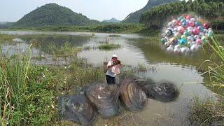 Pearl hunters/wild oysters have grown for many years, and pearls are harvested