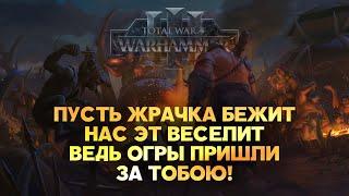 Королевства Огров. Фракции Total War Warhammer 3
