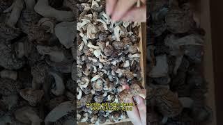 Nấm hương khô Đà Lạt - Hàng Việt Nam không chất bảo quản từ Nấm Nestdo
