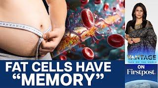 Fat Cells Have "Memory", Remember Past Obesity  | Vantage With Palki Sharma