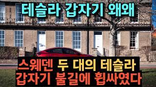 주니퍼 테슬라 모델 Y 스웨덴의 한 도심 지역에서 두 대의 테슬라 차량이 갑자기 불길에 휩싸였다는 소식 중국 시장 FSD 스타일 업데이트: