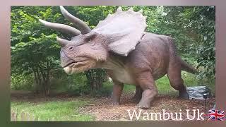 UK's largest Dinosaur themed adventure Park .ROARR