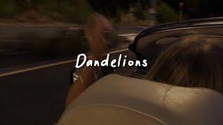 dandelions (slowed reverb + lyrics)