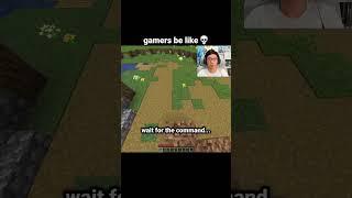 Minecraft Touch Grass Command Moment