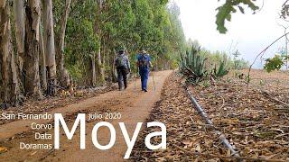 Moya. Caminos de San Fernando, Corvo, La Data y Doramas (julio 2020)