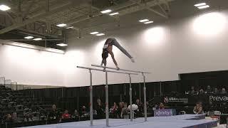 Alex Karadzhov  - Parallel Bars -  2024 Elite Team Cup