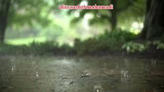 خواص ومضرات گیاه شکرتیغال