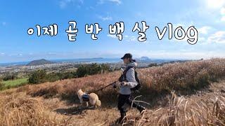 SUB 단순로그284 in Jeju 나이 드는 걸 자꾸 까먹는 이제 곧 반 백 살 vlog